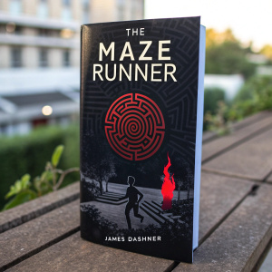 Book cover for 'The Maze Runner' by James Dashner. A mysterious and futuristic design. Dark color scheme with a red flame element. Maze-like pattern and human silhouette. Summary of the story included.