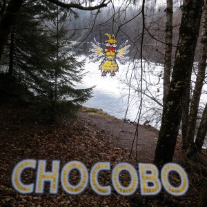 Whimsical pixel art of a final fantasy chocobo. Detailed body parts including head, wings, and drumstick. Dark background with 'chocobo' text at bottom.