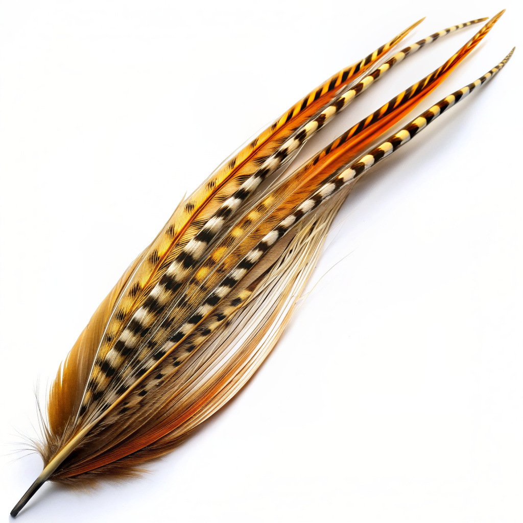 super long striped feather for hair extensions on white background front view

