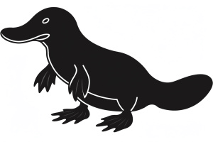 Platypus in black