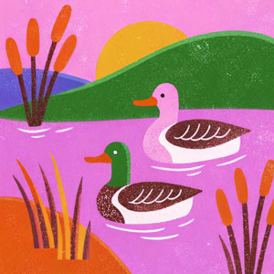 Scandinavian art style ducks in a pond