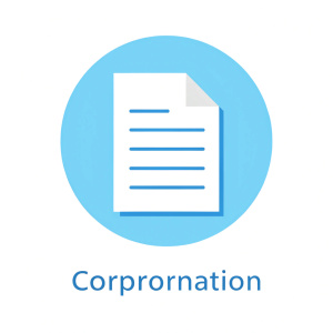 COMPANY INCOPORATION DOCUMENTS