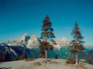 landscape mountiens and pinetrees cleal blue sky