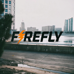 Dynamic 'Firefly' logo. Bold orange lightning bolt, sleek modern font. Clean, energetic design. White backdrop.