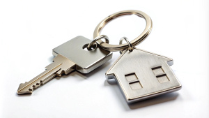 create a high quality a House keys with house shaped keychain cut out on white background 
 