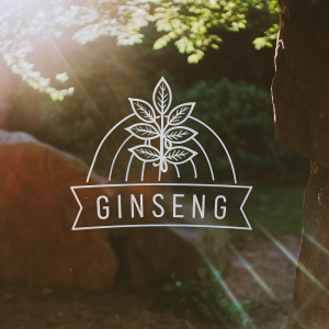 Vegan Ginseng capsules logo. Vibrant green backdrop. Simplistic design featuring stylized Ginseng plant, banner text for brand name, flat sketch style, modern organic aesthetic.