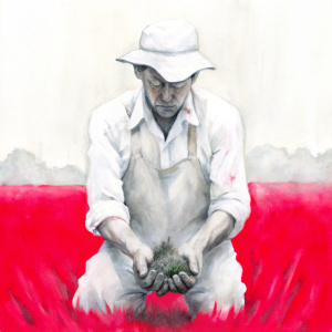 manos en primer plano de un agricultor arrodillado cogiendo tierra en un campo de cultivo