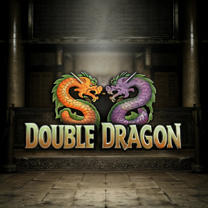 A vibrant logo illustration for a video game called 'Double Dragon'. The design features dragons in vivid orange, green, and purple hues. The text 'Double Dragon' is written in bold, dynamic font. Set against a dark blue backdrop, evoking traditional Chinese art and video game style.