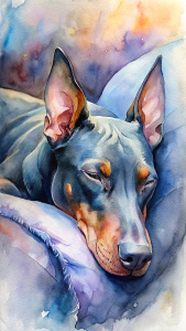 Doberman sleeping