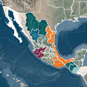 Interactive map illustrating drug cartel territories in Mexico.