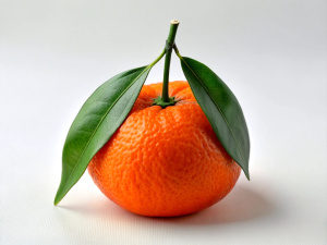 Tangerine, Fruit