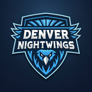 Contemporary logo for Denver Nightwings featuring angular design with blue accents. Modern font highlights team name. Emblem resembles a creature head, creating a sleek and dynamic sports-oriented look.