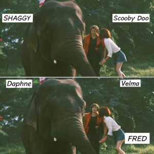A Scooby-Doo comic strip featuring Shaggy, Scooby, Daphne, Velma, and Fred encountering a friendly elephant in a lush jungle setting. Each panel captures their expressive reactions and dialogue, using a classic comic book style with bold lines and a color palette of earthy tones and vibrant highlights.