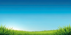 cartoon, simple, clear sky, low small grass, empty ground with grass, streight view