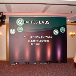 Aptos Labs Discord banner featuring green and dark theme. Prominently highlights NFT minting services, scalable solutions, and platform offerings.