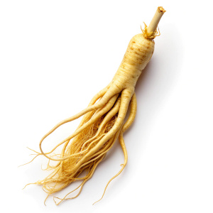 ginseng root 1 pc small per package png