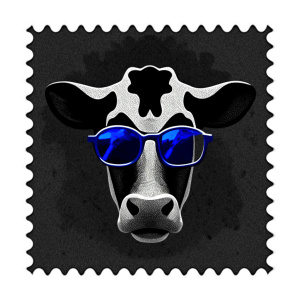 ca cow in blue sunglasses