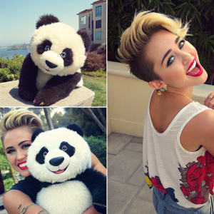 Miley Cyrus with a fluffy panda toy. A series of candid photos from her Instagram account. Young and vibrant look