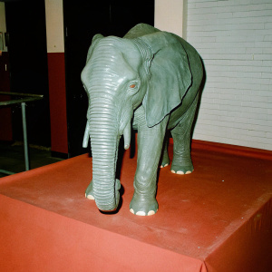 Realistic 3D rendering of an elephant. Grayscale color scheme. Wrinkled skin texture