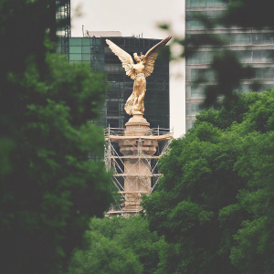 Restoration in progress at the Angel of Independence monument in Mexico City. Wrapped in intricate scaffolding, the golden angel with outstretched wings stands tall against a backdrop of modern skyscrapers. A photo highlighting the complexity of the restoration work.