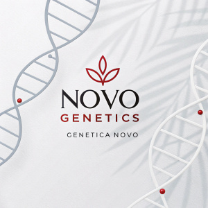 Digital art showcasing the Novo Genetics logo. Simplistic design featuring a DNA helix intertwined with bold 'Novo Genetics' text in English and Spanish. Clean and modern style emphasizing brand recognition.