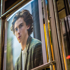 Timothée Chalamet on the cover of Esquire. A close-up portrait. Earthy color palette. Medium build, thoughtful expression, diffused lighting