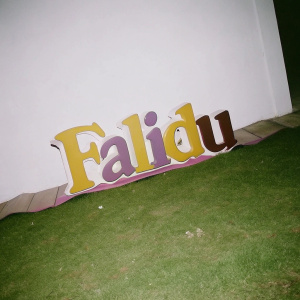 3D logo of Falidu, a vibrant mix of yellow, purple, and white, stands out against a stark black backdrop. The brand's name, an artistic design, commands attention.