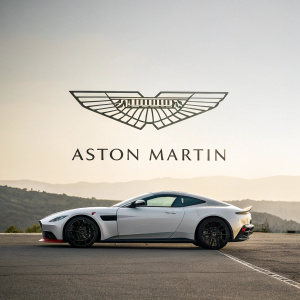 Aston Martin's logo featuring sleek, modern design with wing symbol and bold brand name.