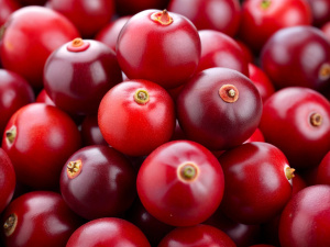 Cranberry, Fruit