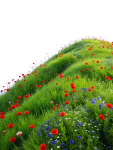 hills planted with flowers poppies, grass, forget-me-nots on a white background