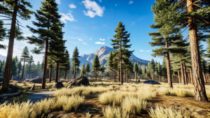 Лесная поляна из игры RUST,  вокруг лесной поляны лес, на фоне горы,