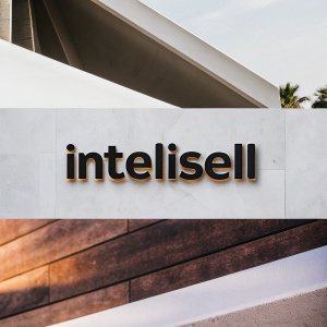 Modern logo design for IntelliSell. Bold font, dark letters spelling out the name against a bright, clean white backdrop.