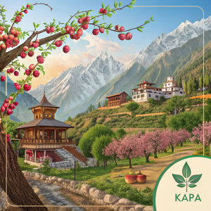 Discover Kalpa, nestled in the Sutlej River valley, famous for its apple orchards and natural beauty. Explore images showcasing traditional architecture, local crafts, and attractions like Hu-Bu-Lan-Kar Monastery and Kinnauri Textile. Experience the charm of Kalpa through our digital page.
