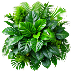 Tropical leaves foliage plant jungle bush floral arrangement nature backdrop isolated on white background, clipping path included.