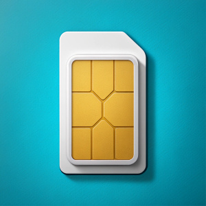 SIM card