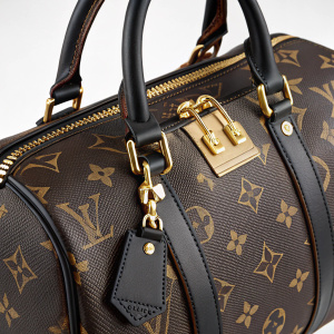 A Louis Vuitton Speedy Bag in classic monogram pattern, featuring black leather trims and gold-toned hardware including a buckle and zipper.