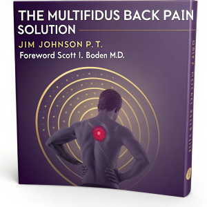 Book cover for 'The Multifidus Back Pain Solution'. By Jim Johnson P.T., with a foreword by Scott I. Boden M.D. Blurred human torso and circular design with a central red spot. Purple and gold colors dominate, with accents of red.
