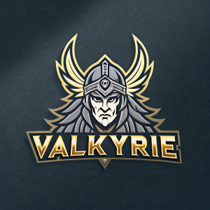 The VALKYRIE logo featuring a fierce, mythological warrior face with sharp, angular lines. The brand name 'VALKYRIE' is displayed in a bold, metallic font beneath the emblem.