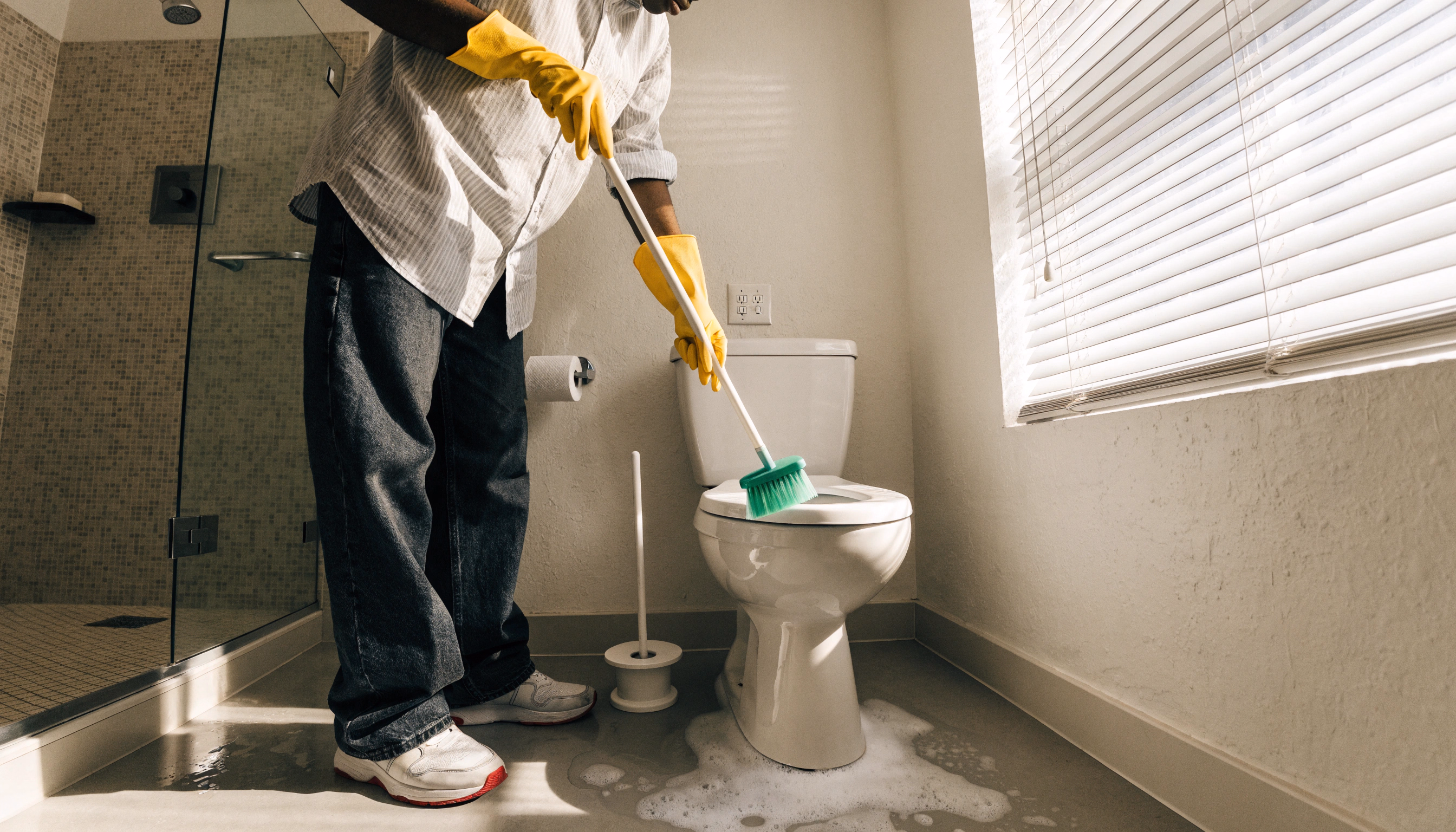 Clean the toilet