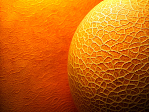 Melon orange textured gradient background