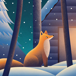 Fox in the night, snow falling