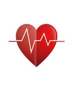  heart symbol and heart beat on ecg graph  on  white background