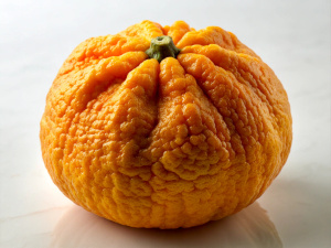 Ugli fruit, Fruit