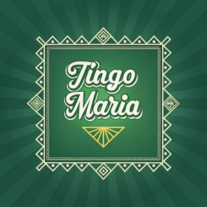 Digital art for Tingo Maria Peru. Vintage typography. Centered Spanish text on a gradient green background. Geometric patterns. Cursive font with retro vibe. Simple color palette with white logo on green. Flat design style.