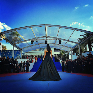 Nargis Fakhri at Cannes Film Festival, in black gown, standing on the red carpet. Crowds visible
