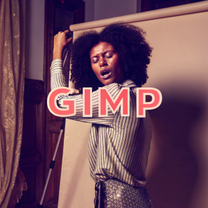 Dynamic logo design for 'Gimp'. Bold font with a splash of vibrant color on a minimalist white backdrop.