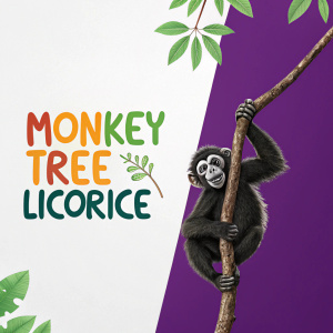 Digital branding design for Monkey Tree Licolrice. The logo features a playful monkey holding a tree branch. The brand name is displayed in vibrant colors on a split-page layout, with one half in white and the other in purple.