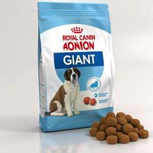 A vibrant packaging design for Royal Canin Junior Giant dog food. Featuring a blend of blue, white, and brown colors. Multilingual text and an image of a brown and white medium-sized dog highlight the product. Promotional and educational in style.