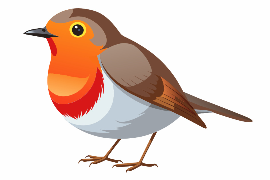 the robin,white background. - Recraft