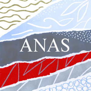 Elegant logo featuring the name 'ANAS' in a modern sans-serif font. The design incorporates abstract geometric patterns and vibrant gradients on a minimalist black background.